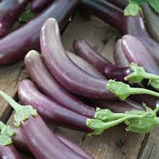 Afbeeldingsresultaat voor fengyuan purple eggplant