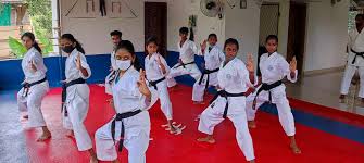 Image result for United Sport Karate