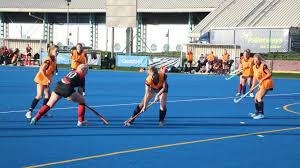 Image result for Cardiff Comets Ladies Ice Hockey