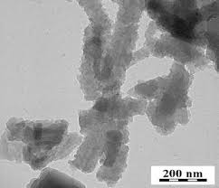 Image result for Sfânta Iuliana Falconieri