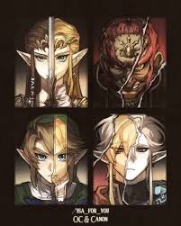 Image result for link twilight princess