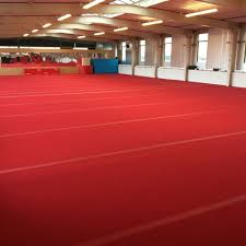 Image result for Fromeside Gymnastics Club (1987) Limited