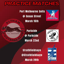 Image result for Eltham Panthers