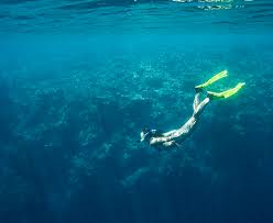 Image result for Blue Water Diving