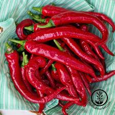 Afbeeldingsresultaat voor turkish cayenne hot pepper