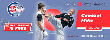 Image result for MO-ICHIDO