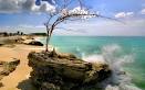 Boating, Sailing &amp; Fishing in Bimini | The Out Islands of the Bahamas