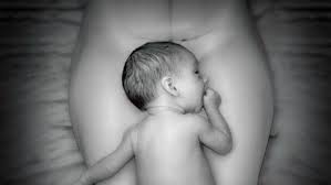 Image result for cesarskie