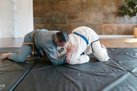 Image result for Judo/Ju-Jitsu Self Defence