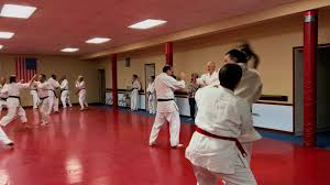 Image result for Chang's Hapkido Club