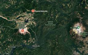 Image result for St Helens Miners