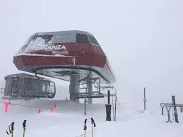 Image result for gnaar