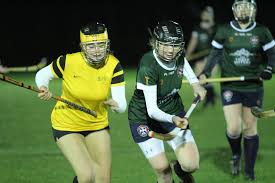 Image result for Edinburgh University Shinty Club