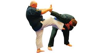 Image result for Fighting Arts Organisation of Great Britain