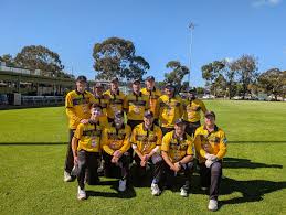 Image result for Hills Plymouth Cricket Club