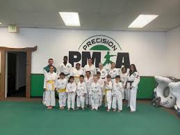 Image result for Precision Martial Arts