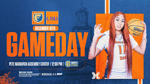 Image result for Spring View Community Sports Association