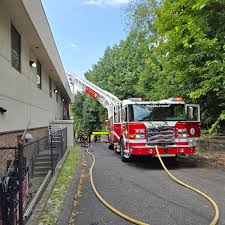 Image result for Stonyhill Ibc