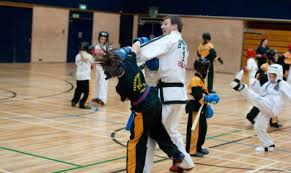 Image result for Torbay Taekwondo Schools