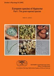 Attēlu rezultāti vaicājumam “Hypocrea gelatinosa”