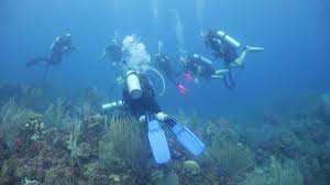Image result for Dive Crew Scuba Diving