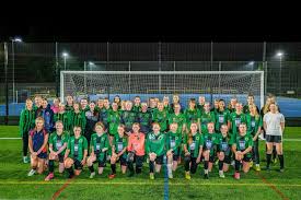 Image result for Haslemere Town Youth Football Club