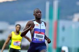 Image result for Tobogo