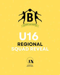 Image result for Beacon Netball Club