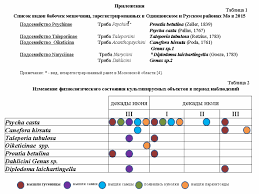 Attēlu rezultāti vaicājumam “Proutia betulina”