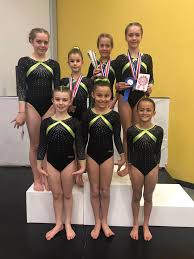 Image result for Wyre Forest School Of Gymnastics