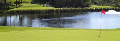 Image result for Abernethy Golf Club