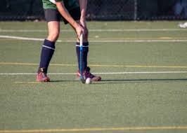 Image result for Reading Hockey Club