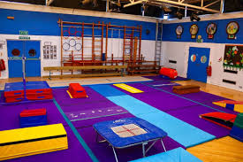 Image result for Croydon School Of Gymnastics