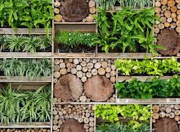 Image result for living wall