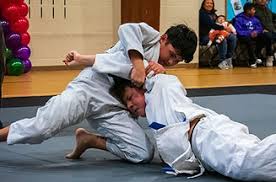 Image result for Arun Southcoast Judo Club.
