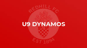 Image result for Redhill Juniors FC
