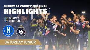 Image result for Oxted & District Junior Fc