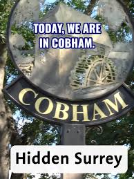 Image result for Leatherhead & Cobham Cc