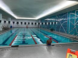 Image result for York University Pool Club