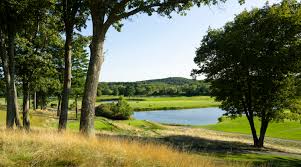 Image result for Belmont Scrabble Club