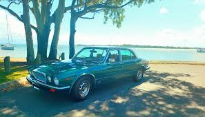 Image result for Jaguar Racing Green 1986 Jaguar