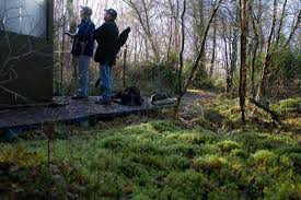 Image result for Ancholme Valley Clay Target Club