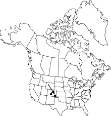Attēlu rezultāti vaicājumam “Corispermum hyssopifolium fruit”