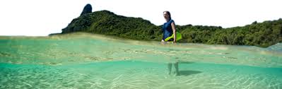 Image result for fernando de noronha