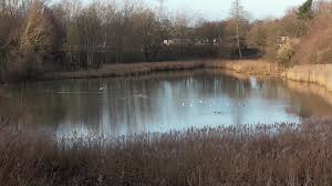 Image result for Millbrook Smbc