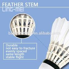 Image result for Flukey Feathers Badminton Club