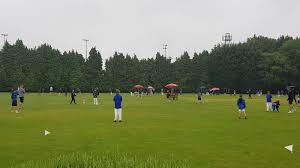 Image result for Halstead Colts Cricket Club