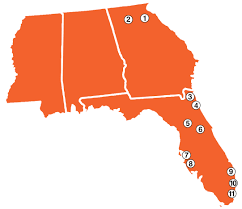 Image result for City of Llandaff Pétanque Club