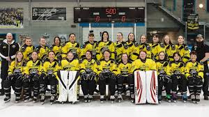 Image result for Widnes Ladies Hockey Club