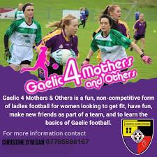 Image result for Carryduff Gaelic Athletic Club